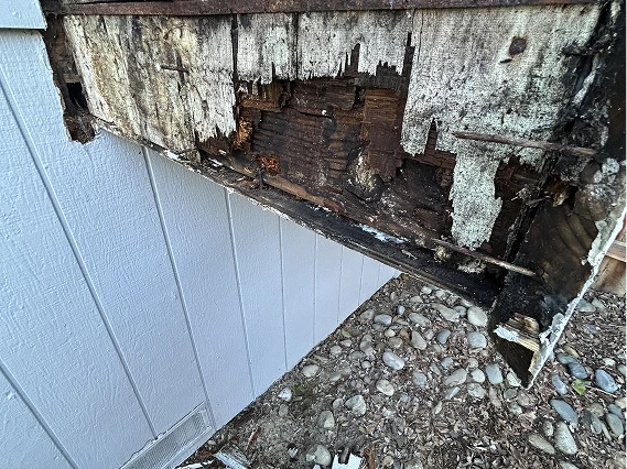 Chimney Restoration Project